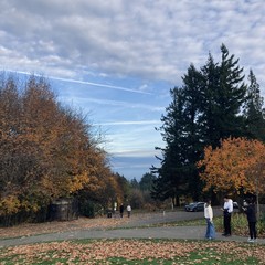 Several people in small groups on a hillside in a park at sunset under a slightly cloudy sky. Late fall. A deck of high clouds obscures the top of Mt. hood on the horizon