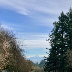 Mt. Hood white and snowy on a chilly november morning