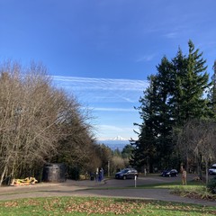 Crisp fall day, low sunlight, deep blue sky, snow mountain, many people and dogs enjoying the park