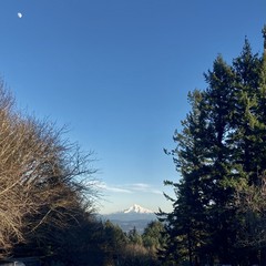 Mt. Hood bright with snow on the horizon under a deep blue clear winter sky. Waxing gibbous moon halfway above the horizon