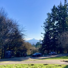 Brilliant clear day, a bit windy. Extreme visibility. Sunshine is warm, frost in the shadows. Mt. Hood clear on the horizon