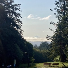 Silhouette of a lone volcanic peak glowering over low river effect clouds about 2 hours after sunrise, framed in the foreground by tall firs and two empty park benches