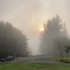The sun shines through heavy fog