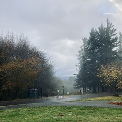 View from Council Crest Park toward Mt. Hood, which is not visible behind many layers of broken clouds. A loose mist hangs in the near foreground. The pavement is wet with recent rain.