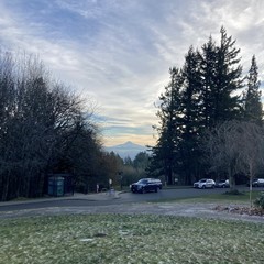 View of Mt. Hood from Council Crest. The mountain is visible in very clear and cold air. High layers of wispy cirrus clouds filter the low mid-morning winter sunlight, but the sky is mostly clear. The lawn in the foreground is dusted with patches of frost