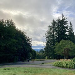 Tall firs in the foreground bracket an unseasonably cloudy, wet sky for late July in the Willamette Valley. Cool but humid; vegetation intense in color and smell. Yesterday’s petrichor.