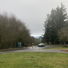 View from Council Crest Park toward Mt. Hood, which is obscured by heavy clouds and mist. The nearby atmosphere is misty and cool. The sky overhead is a perfectly even leaden gray, and the ground is wet.