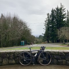 View from Council Crest Park toward Mt. Hood, which is hidden behind mid-altitude stratus clouds. Weather is stereotypical midwinter stuff. Gray and damp but not especially rainy per se. In the foreground a bicycle leans against a low decorative stone wall. In the middle distance are a portapotty, a few park signs, and two park benches. To the right (south) of these things is a stand of tall Douglas firs, to the left (north) is a stand of bald deciduous trees, mostly alder and maple.