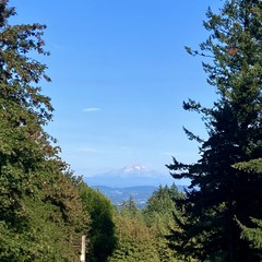 View from Council Crest toward Mt. Hood, which is visible