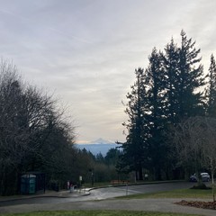 View from Council Crest toward Mt. Hood, which is capped with snow and ringed with a low ragged clouds. High altitude cirrus clouds overhead make the sky appear to shimmer. A strong north wind bends the branches on the trees in the near midground
