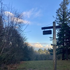 View from Council Crest Park toward Mt. Hood, which is occluded by large fluffy clouds reflecting the light of the sunset. The sky overhead is clear. In the foreground is a trail sign that reads “Marquam Trail” with another sign that reads “No bicycles please”