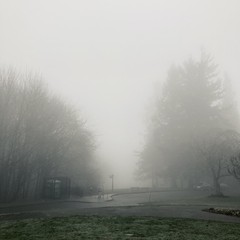 View from Council Crest park toward Mt. Hood, which is not visible behind a thick wall of cold, stagnant fog. Photo is manipulated to look like a still from a gothic horror movie.
