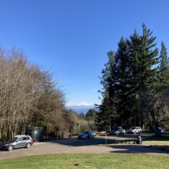 View from Council Crest toward Mt. Hood, which is EXTREMELY visible under a dark, clear, still blue sky. The mountain is well-capped with fresh snow. A single contrail is faint in the sky. In the foreground, a cyclist is sitting on the grass near her bike