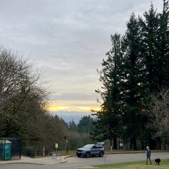 View from Council Crest Park toward Mt. Hood, whose very peak is obscured by a low layer of stratus clouds moving eastward. The sun is rising almost directly behind the mountain. In the near midground a person is walking their dog across the road to their open car