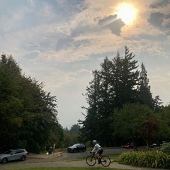 A cyclist rides past on a path at the top of a hill facing east toward the late morning sun. The sky is heavy and hazy with moisture and wildfire smoke. The sun shines wanly through the miasma. Vegetation a brilliant green in the heat and humidity