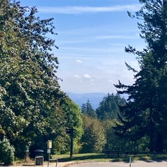 A sliver of Mt. Hood is visible between layers of “marine” clouds (actually low-altitude river effect clouds)