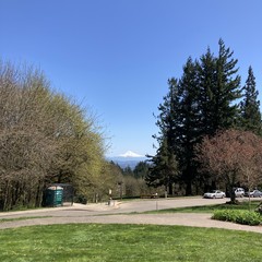 View from Council Crest park toward Mt. Hood, which shines with a uniform coat of snow under a brilliant cloudless dark blue sky. Vegetation is appropriate for early April but the air feels like late May