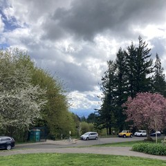 View from Council Crest Park toward Mt. Hood, which is hidden behind broken spring clouds