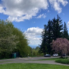 Geez this one is too close to call. View from Council Crest Park toward Mt. Hood, which is *mostly* obscured by zillions of pillow fluffy clouds in a cheerful bright sky. HOWEVER a fringe of snow below the treeline is visible.