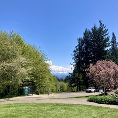 From Council Crest looking toward Mt. Hood, upon whose top is building a thundercloud. The sky is otherwise brilliantly clear