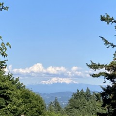 Mt. Hood, as photographed from Council Crest Park. Under a clear sky the mountain shines with snow. A few fluffy clouds cling to its peak