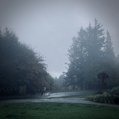 Utterly blank gray sky, heavy fog and rain, looming firs, pretty grim for All Hallow’s Eve