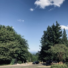 View from Council Crest Park toward mount hood. The foot of the mountains obscured by the remnants of a marine layer. The sky overhead is otherwise clear, except for a few small, fluffy clouds.