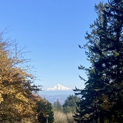 Mt. Hood with a fresh layer of snow under a crisp autumn sky