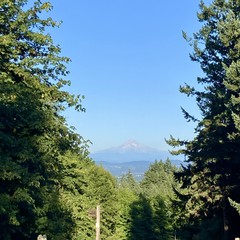 Mt. Hood from Council Crest on a very clear late afternoon in August