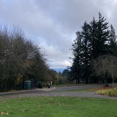 Another gray western Oregon sky, no mountain visible