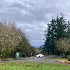 Cloudy and wet on top of the hill. No mountains are visible. Just trees