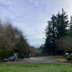 Mt hood, snowy, on a misty green early winter morning