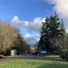 Wet sky, broken blue, green grass, cold, sunlight low in the sky