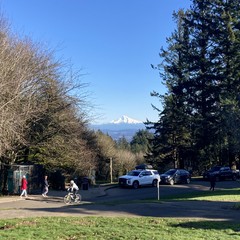 A busy day on Council Crest. In the foreground are several parked cars, people walking, and a cyclist. Sky overhead DEEP CLEAR BLUE. On the horizon Mt. Hood sparkles with fresh snow