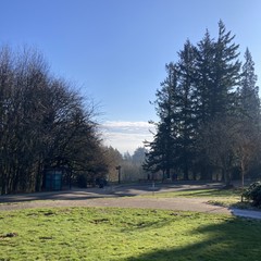 Only someone who already knows a mountain should be there would see it today. The sky overhead is crisp blue but a low haze and some low altitude stratus clouds on the horizon obscure most of Mt. Hood