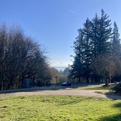 A single volcanic peak on the horizon pokes above low level haze. Green grass and tall firs in the foreground. Sky overhead deep and clear, a single jet contrail