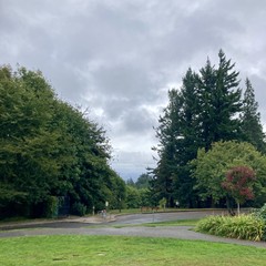 It is just very ridiculously green and wet. The mountain is not visible in this view from Council Crest park