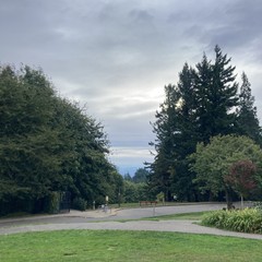 Heavy but high clouds cover Mt. Hood as (not) seen from Council Crest Park