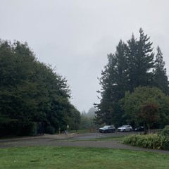 A thin mist and utterly blank gray sky obscure Mt. Hood