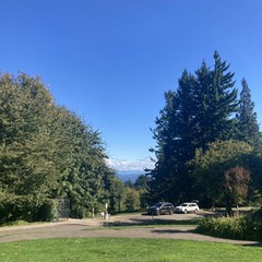Sunny mid-fall day, looking east from Council Crest park through two stands of tall trees. Morning clouds hug the eastern horizon, obscuring Mt. Hood
