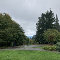 Vegetation is brilliant on this warm and damp October afternoon. A low wet deck of clouds extends to the horizon. A thin fringe of snow is faintly visible on the flanks of Mt. Hood which is otherwise completely obscured