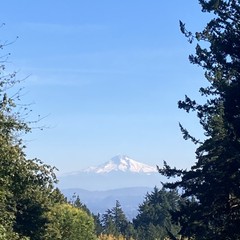 Mt. Hood, white with snow, on a clear, windy mid-autumn day, taken from Council Crest Park