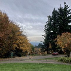 Mt. Hood, surprisingly visible under a high deck of leaden gray clouds, in a still hazy air. Fall foliage at its most colorful peak