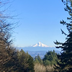 Mt. Hood on a “bluebird” day of exceptional clarity, gleaming with snow. The low late autumn sun throws sharp shadows on the snow of the mountain