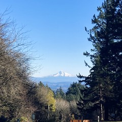 Yet another view of Mt Hood, snowy, deep blue sky, cold late November day