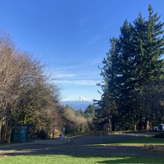 Mt hood seen from council crest park on a sunny December afternoon